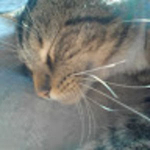 Meet your Posher, Lawrence